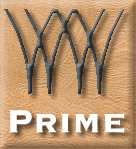 WWPrime Account